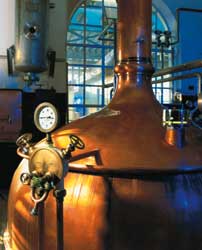 Bierbrauen für Einsteiger Bierbrauen für Einsteiger